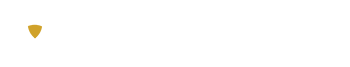 Insight Wealth Logo